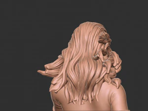 Hair 58 3D Print Model