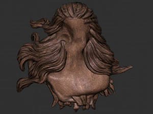 Hair 58 3D Print Model