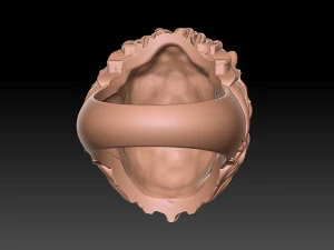 Lion ring 2 3d print 3D Print Model