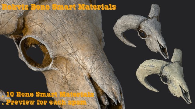 10 bone smart materials CG 텍스쳐 .c4d .max .obj .3ds .fbx .stl .blend 
