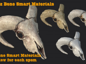 10 bone smart materials CG 텍스쳐