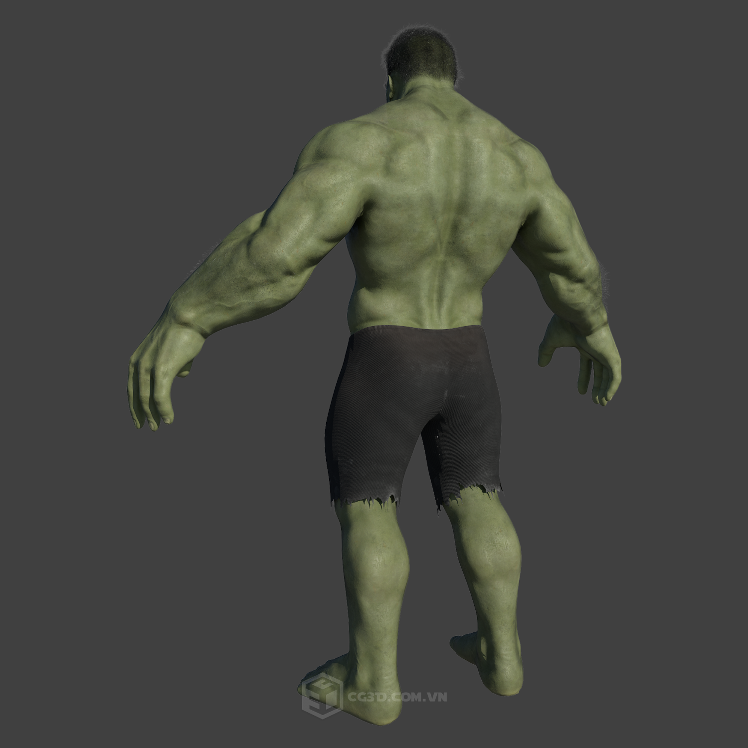 Hulk 3D Model in Monster 3DExport