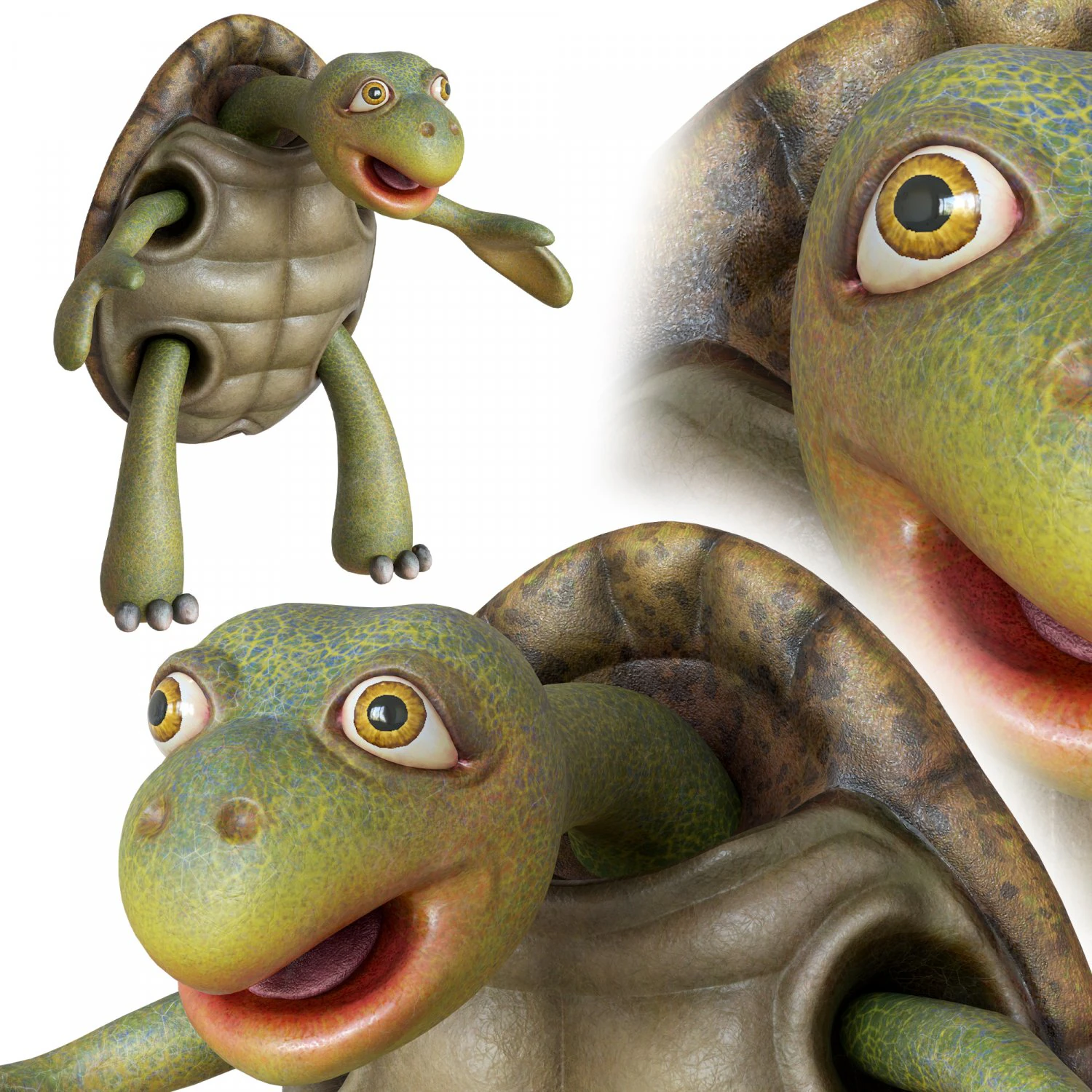 cartoon turtle 3D Model .c4d .max .obj .3ds .fbx .stl .blend 