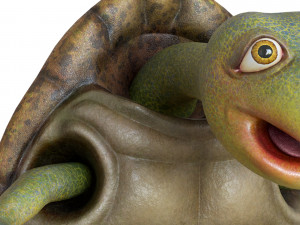 cartoon turtle 3D Model