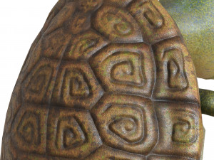 cartoon turtle 3D Model