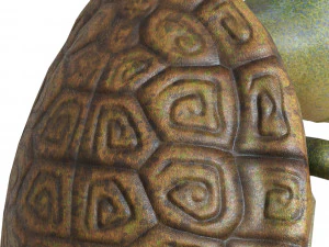 cartoon turtle 3D Model