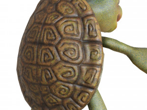 cartoon turtle 3D Model