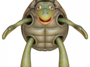 cartoon turtle 3D Model