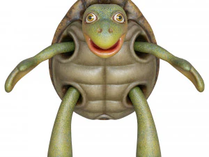 cartoon turtle 3D Model