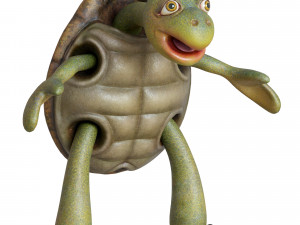 cartoon turtle 3D Model