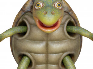 cartoon turtle 3D Model
