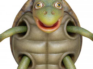 cartoon turtle 3D Model