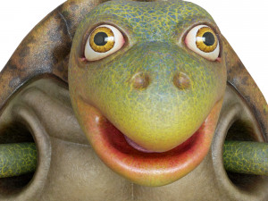 cartoon turtle 3D Model