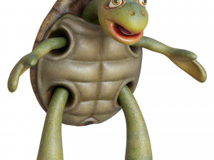 cartoon turtle 3D Model