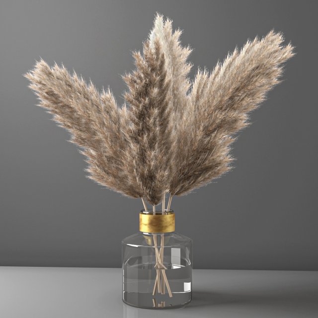 pampas grass 3D मॉडल .c4d .max .obj .3ds .fbx .stl .blend 