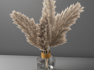pampas grass 3D मॉडल