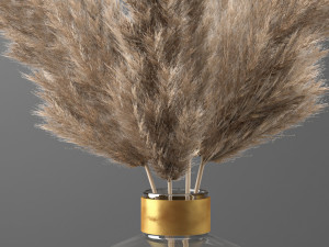pampas grass 3D मॉडल