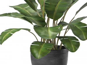 cole&ccedil;&atilde;o de plantas 5 Modelo 3D