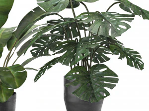 cole&ccedil;&atilde;o de plantas 5 Modelo 3D
