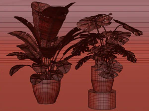 cole&ccedil;&atilde;o de plantas 5 Modelo 3D