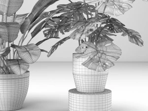 cole&ccedil;&atilde;o de plantas 5 Modelo 3D