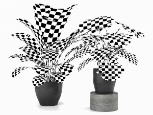 plant collection 5 Modèle 3D