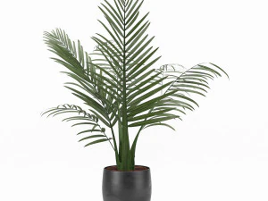 planta kentai Modelo 3D