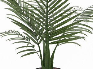 kentai plant Modelo 3D