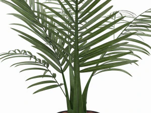 planta kentai Modelo 3D