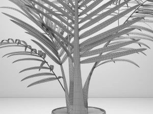 planta kentai Modelo 3D