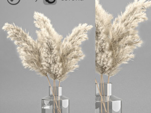 dry plant 3 in glass vase 3D मॉडल