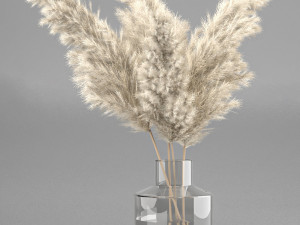 dry plant 3 in glass vase Modelo 3D