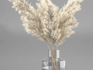droogplant 3 in glazen vaas 3D Model
