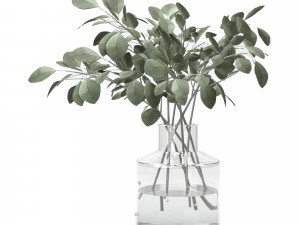 indoor eucalyptus plant in glass vase 3D Model