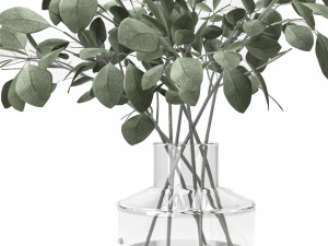 indoor eucalyptus plant in glass vase 3D Model