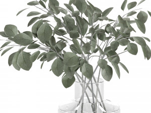 indoor eucalyptus plant in glass vase 3D Model