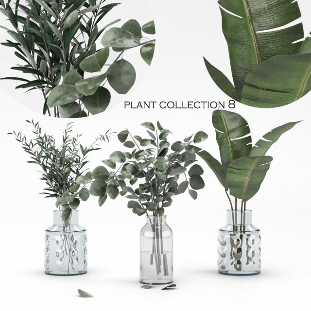 plant collection 8 3D Модель .c4d .max .obj .3ds .fbx .stl .blend 