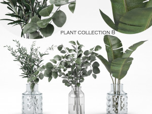 plant collection 8 3D मॉडल