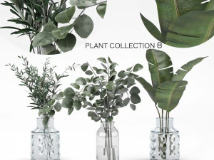 coleção de plantas 8 Modelo 3D