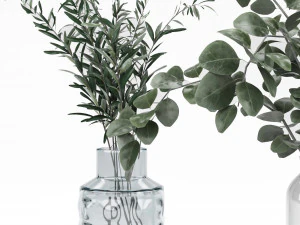 plant collection 8 3D Model
