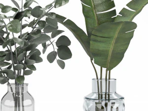 plant collection 8 3D Model
