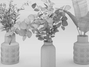 plant collection 8 3D Model