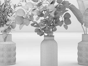 plant collection 8 3D Model