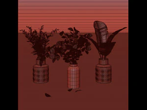 plant collection 8 3D Model