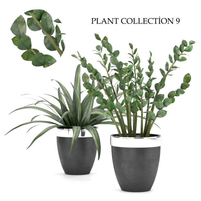 plant collection 9 Modello 3D .c4d .max .obj .3ds .fbx .stl .blend 
