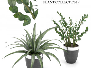 plant collection 9 Modello 3D