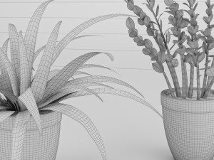 plant collection 9 Modello 3D