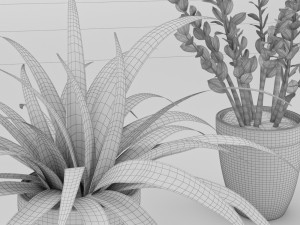 plant collection 9 Modello 3D