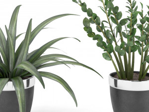 plant collection 9 Modello 3D