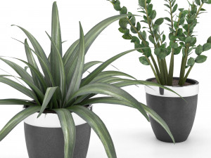 plant collection 9 Modello 3D